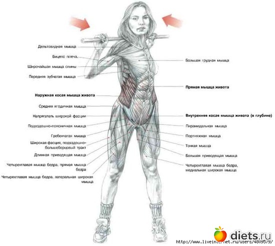 1 ����: ���������� �� �����