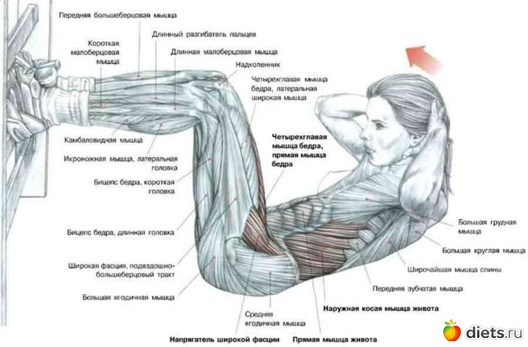 4 ����: ���������� �� �����