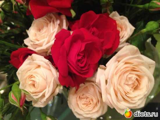 40 ����: ������� �����