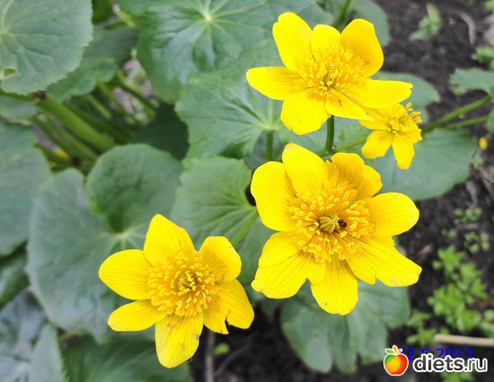 19 ����: ����� � ����-�������� ����!