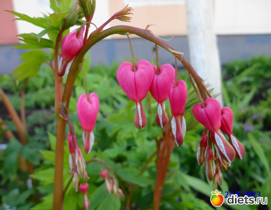 20 ����: ����� � ����-�������� ����!