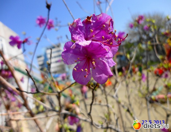 21 ����: ����� � ����-�������� ����!