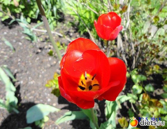 22 ����: ����� � ����-�������� ����!