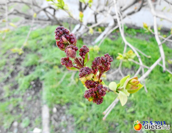 23 ����: ����� � ����-�������� ����!