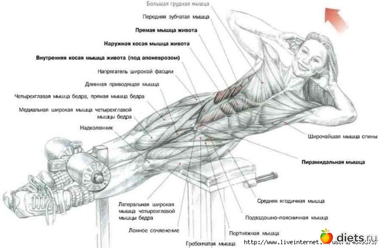 8 ����: ���������� �� �����