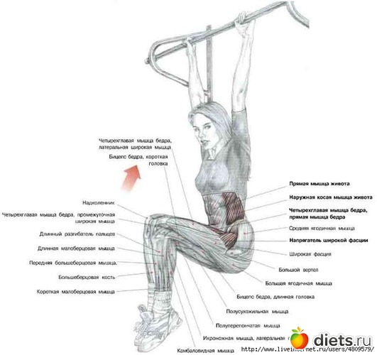 11 ����: ���������� �� �����