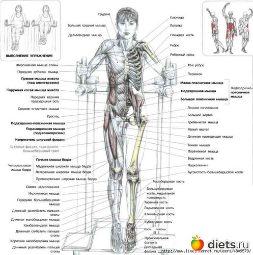 12 ����: ���������� �� �����