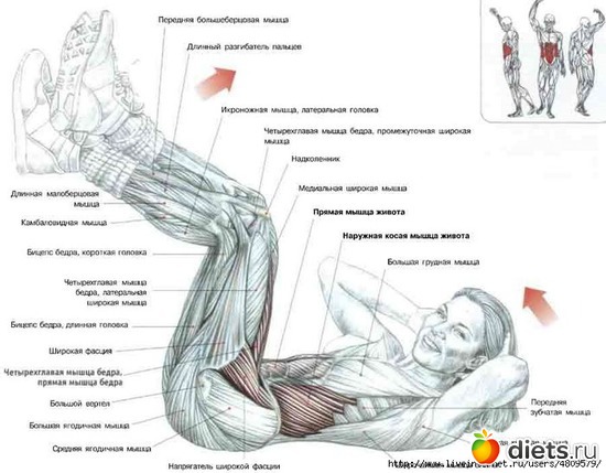 13 ����: ���������� �� �����