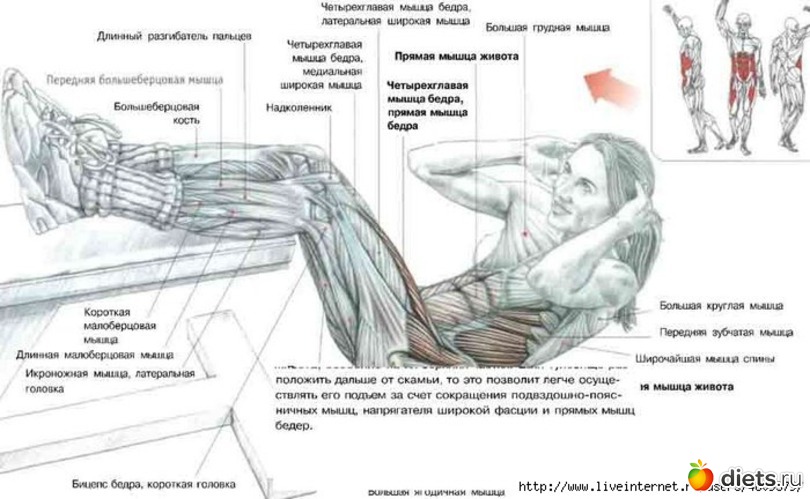 15 ����: ���������� �� �����