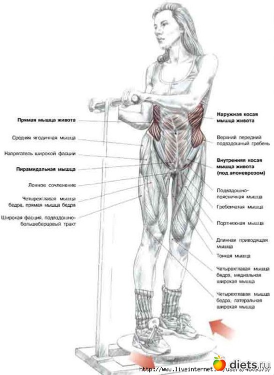 17 ����: ���������� �� �����