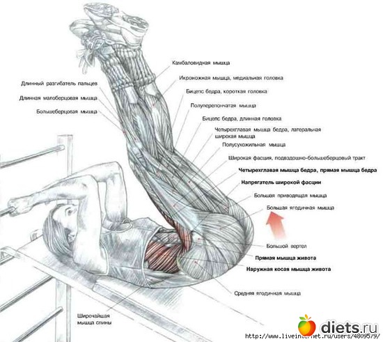 18 ����: ���������� �� �����