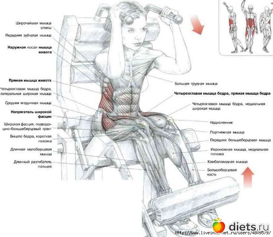 19 ����: ���������� �� �����