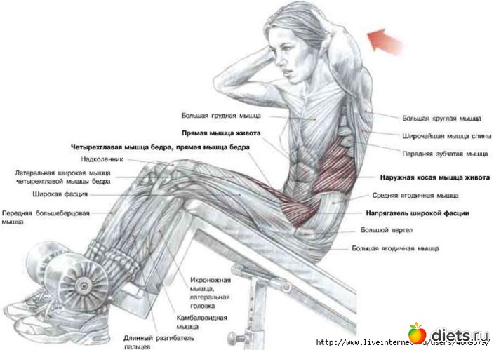 20 ����: ���������� �� �����