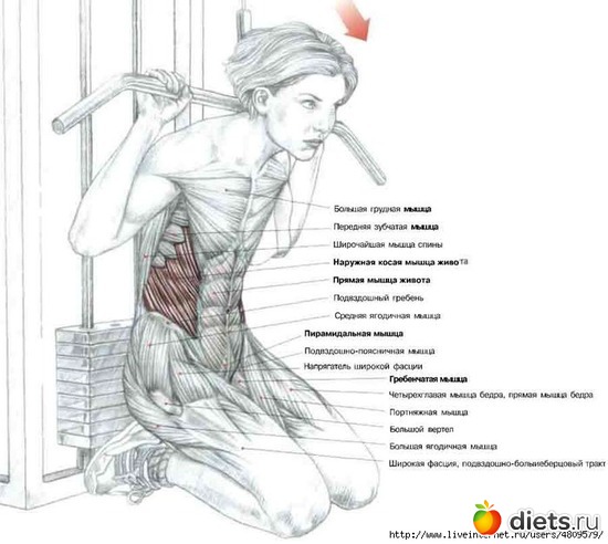 21 ����: ���������� �� �����