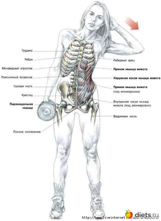 22 ����: ���������� �� �����