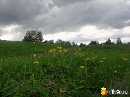 2 фото: природа