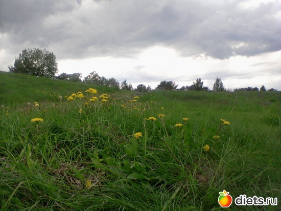 3 фото: природа