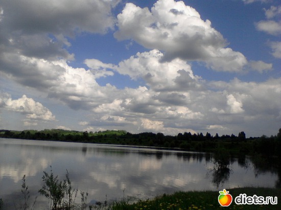 4 фото: природа