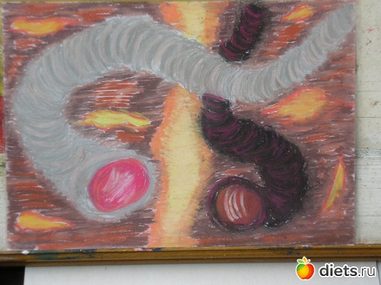 14 ����: ��� ����������