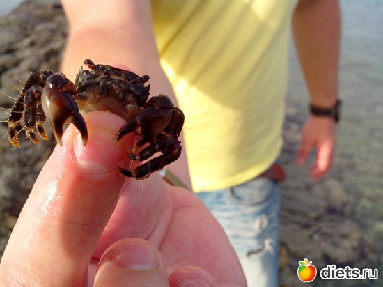 130 ����: ��������� �������!