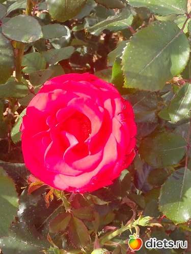 8 ����: ��������� �������!