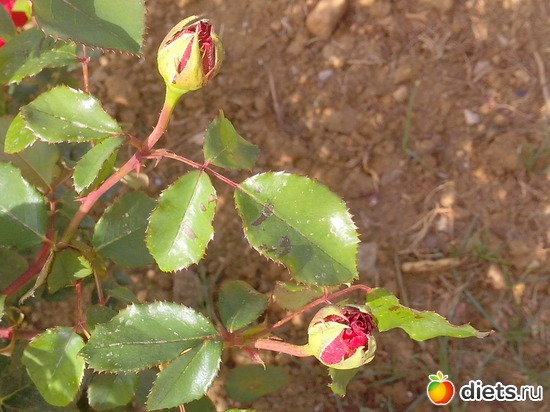 9 ����: ��������� �������!