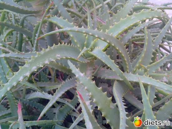 17 ����: ��������� �������!