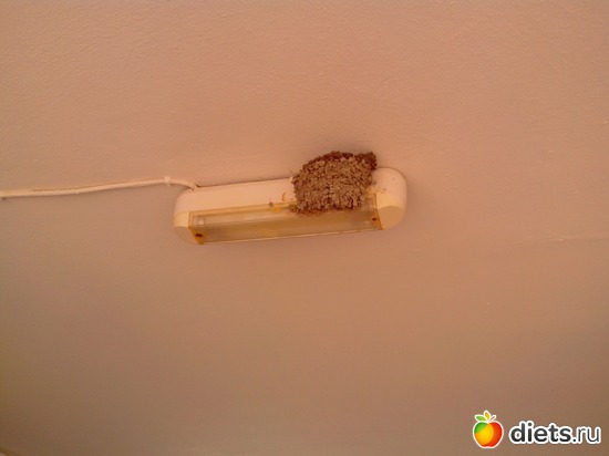 31 ����: ��������� �������!