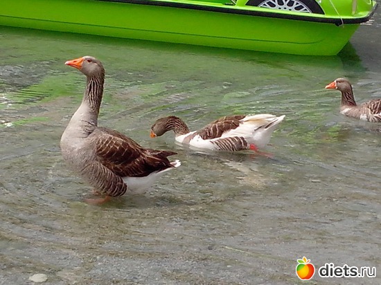 35 ����: ��������� �������!