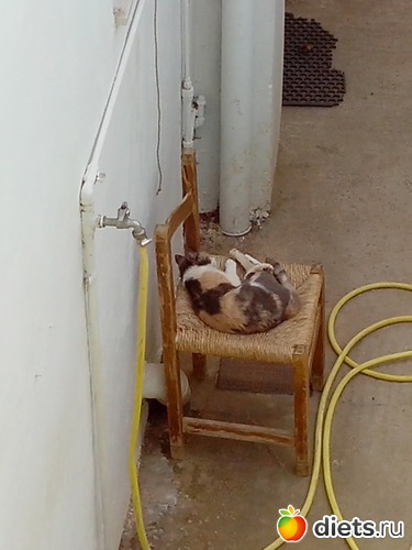 51 ����: ��������� �������!