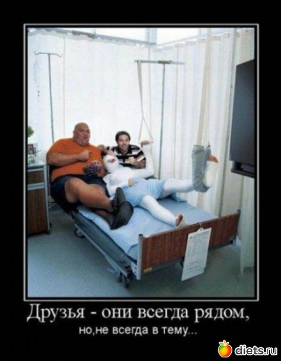 ������, ������: ������ ���