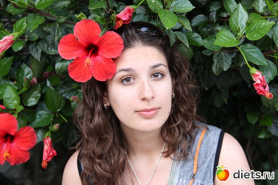 3 ����: ������ 2013