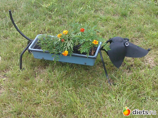 7 ����: �������� �� �������.