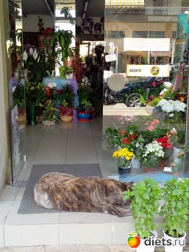 79 ����: ��������� �������!