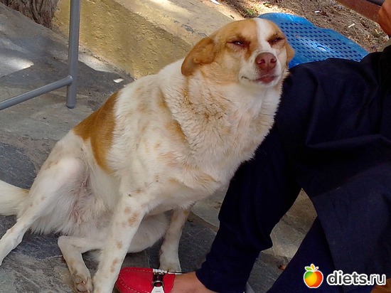 83 ����: ��������� �������!