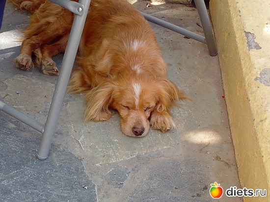 84 ����: ��������� �������!