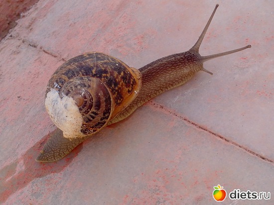 89 ����: ��������� �������!