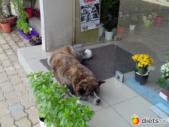 92 ����: ��������� �������!