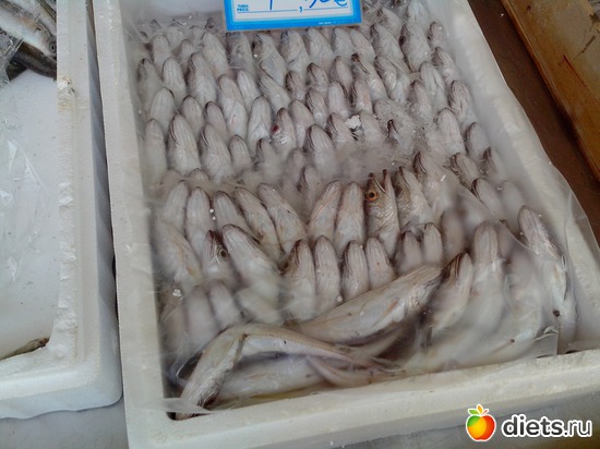 109 ����: ��������� �������!