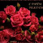 ������ �����