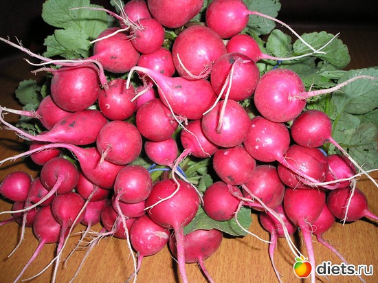 Редис, альбом: Дачные радости