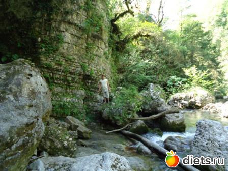 ������� 2011