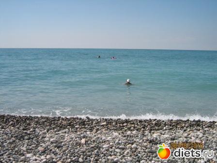 ������� 2011