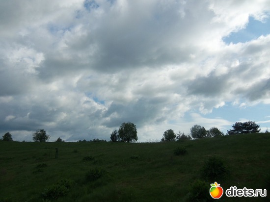 8 ����: �������