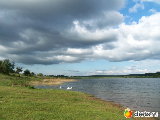 11 ����: �������