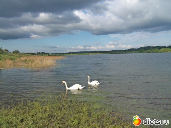 12 фото: природа