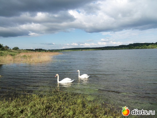 13 ����: �������