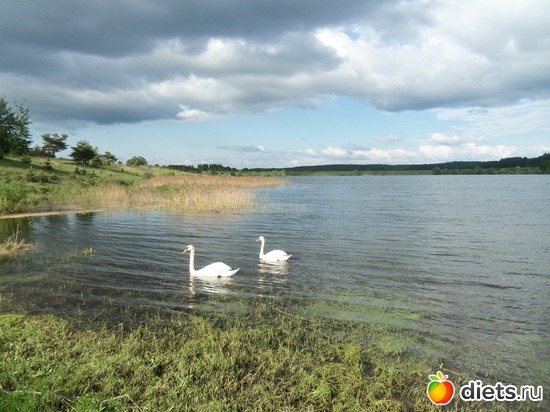 14 ����: �������