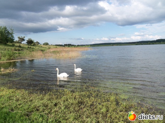 15 ����: �������