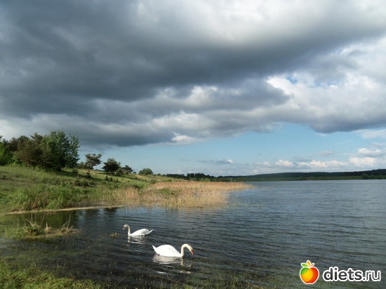 16 фото: природа